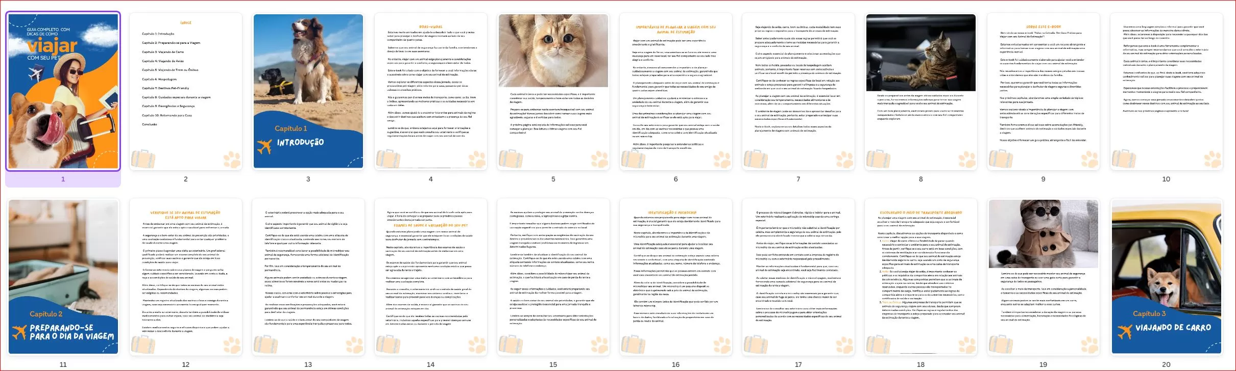 amostra ebook plr como viajar com seu pet